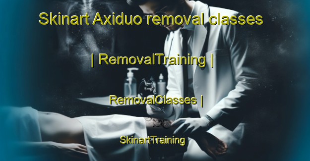 Skinart Axiduo removal classes | RemovalTraining | RemovalClasses | SkinartTraining-China